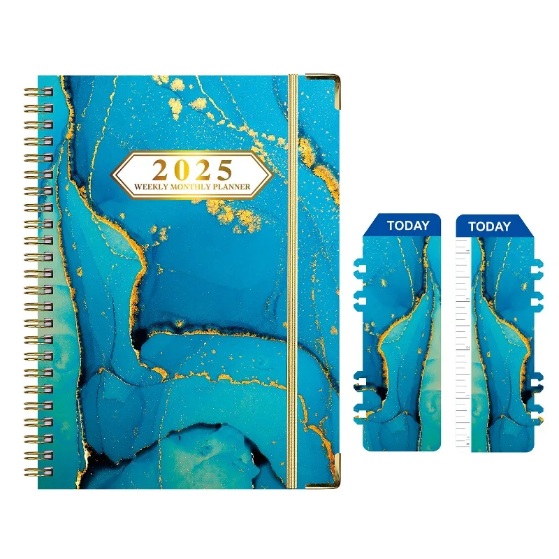 2025 Weekly & Monthly Planner  - Planner Weekly Budget 评论和价格