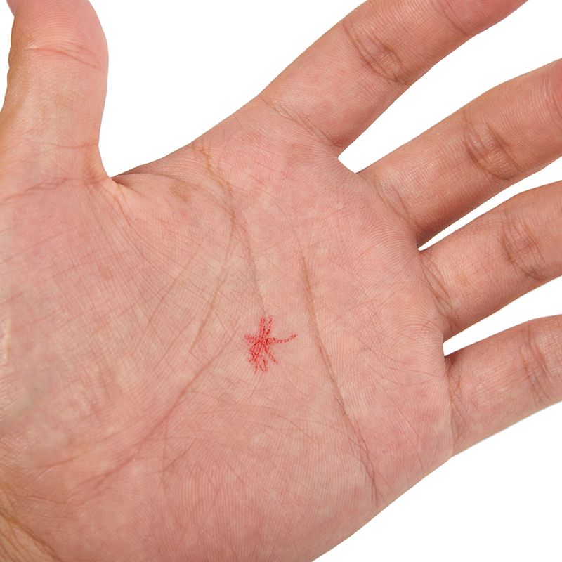 1/4pcs Mosquito Pattern Self-I - Self Inking Stamp 评论和价格